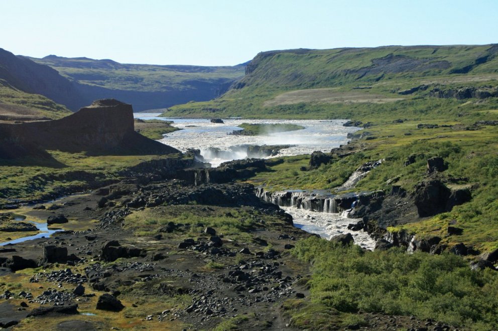 Næsta ferð 24. ágúst: Forvöð - Hallhöfðaskógur