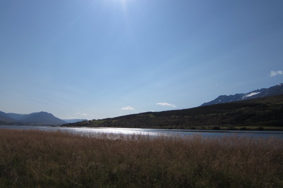 Þaulinn 2020 - verðlaun og viðurkenningar