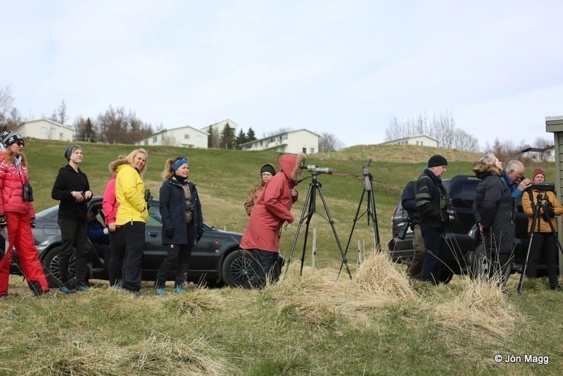 Næsta ferð 15. maí: Fuglaskoðunarferð í Mývatnssveit