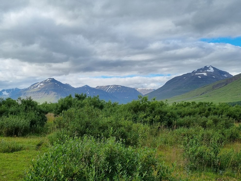 Gengið inn í haustið með FFA