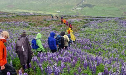 Ferðakynning FFA 2023