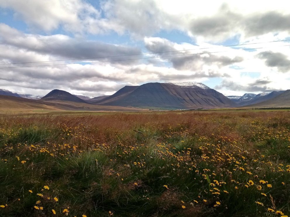Næsta ferð 29. júní: Elliði í Hjaltadal, Skagafirði