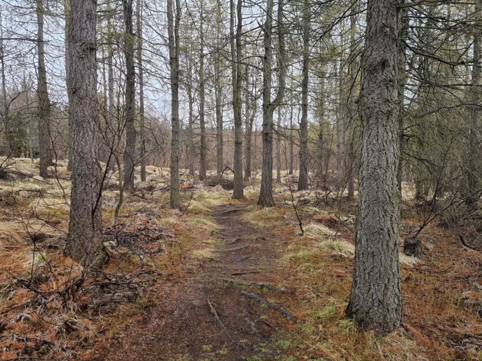 Næsta ferð: Barna- og fjölskyldu-Páskaeggjapartý