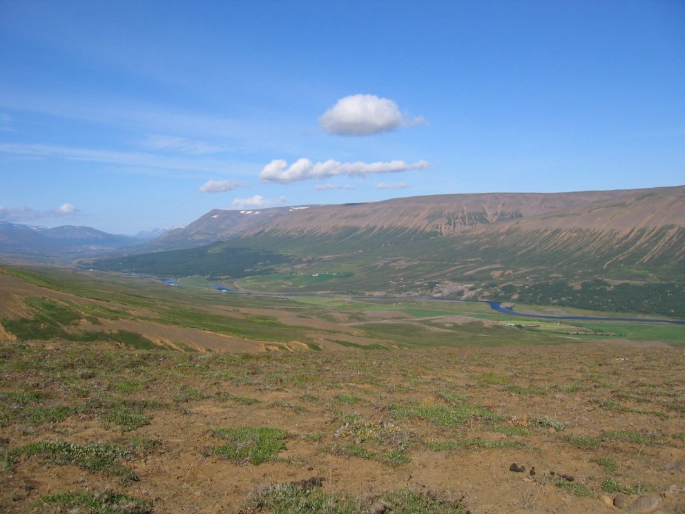 Gönguvika 18.-22. júní - ferðin í kvöld - Vaglaskógur