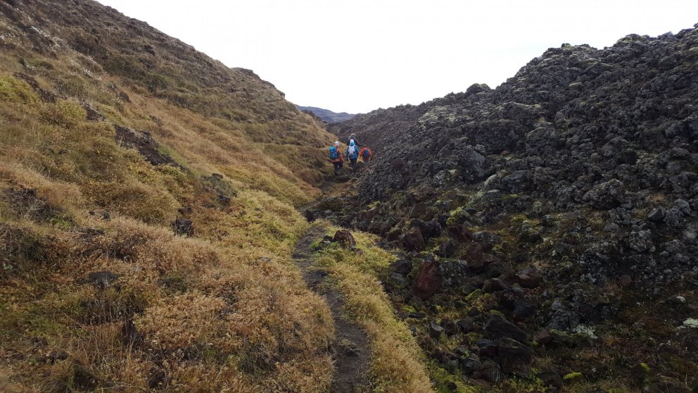 Lúxusgönguferð í Mývatnssveit 2019