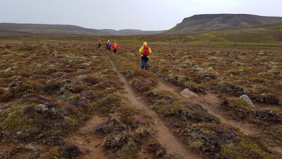 COVID-2019 / Ferðir á vegum FFA næstu vikurnar