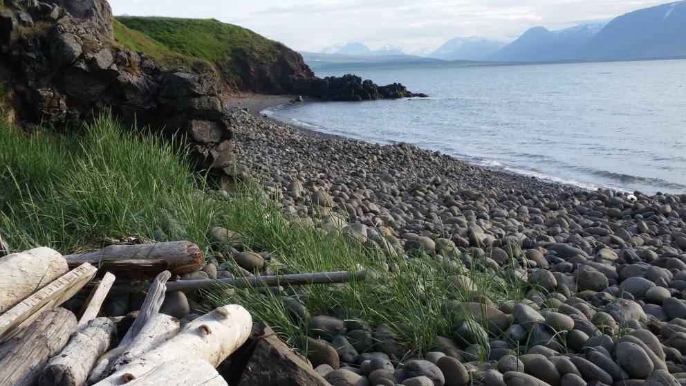 Opið hús 4. nóvember n.k.