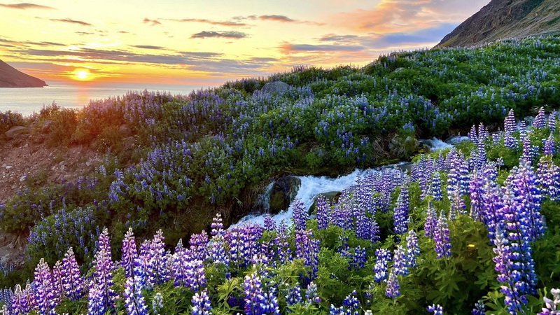 Fréttabréf FFA júlí 2023