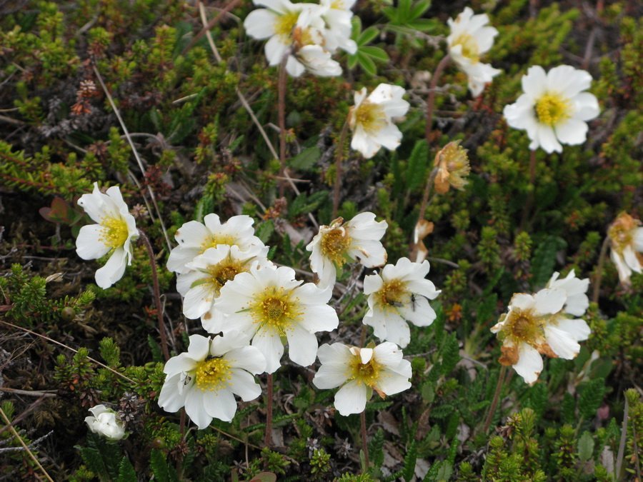 Fréttabréf FFA júní 2023