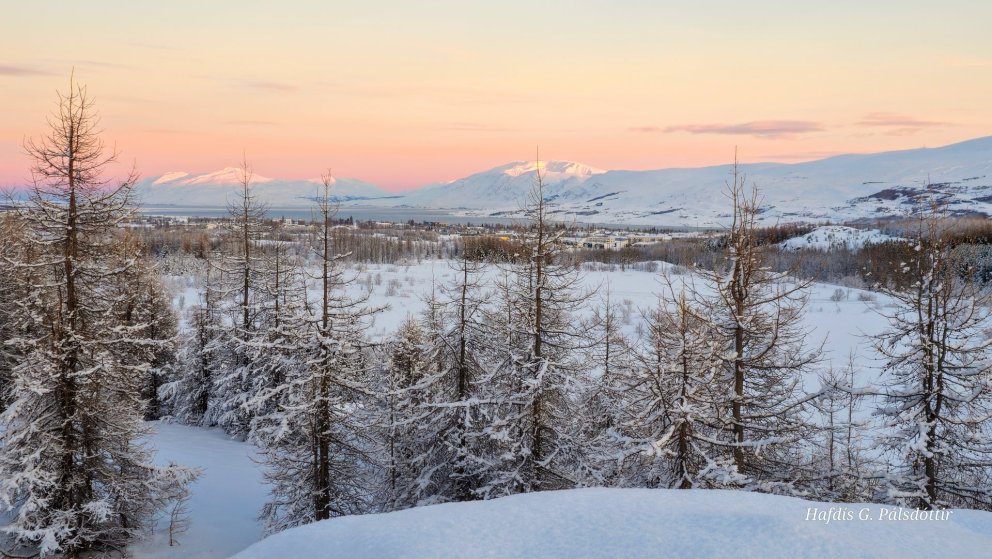 Opið hús hjá FFA: Myndir úr ferðum um Ísland