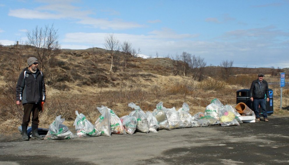 Stóri plokkdagurinn 2024