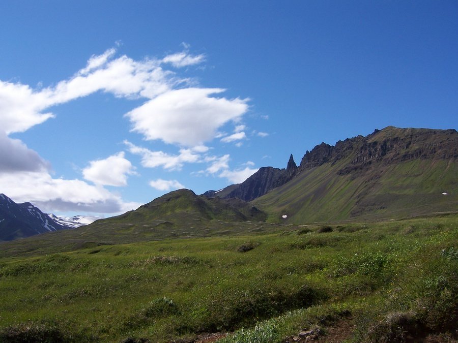 Næsta ferð 18. júní: Náttúruskoðun í fögru umhverfi Öxnadals