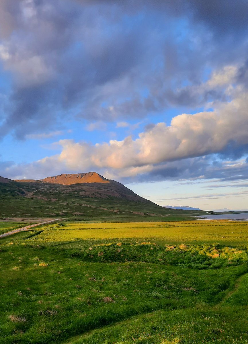Næsta ferð 17. ágúst: Gusthnjúkur á Höfðaströnd