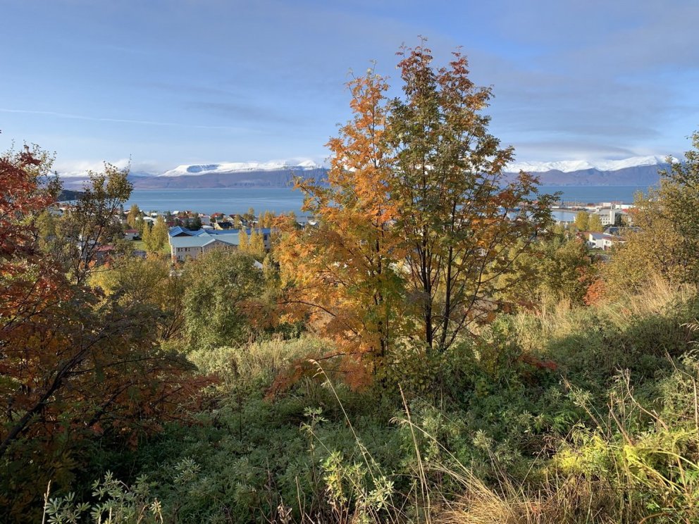 Næsta ferð 1. september: Húsavík - Botnsvatn