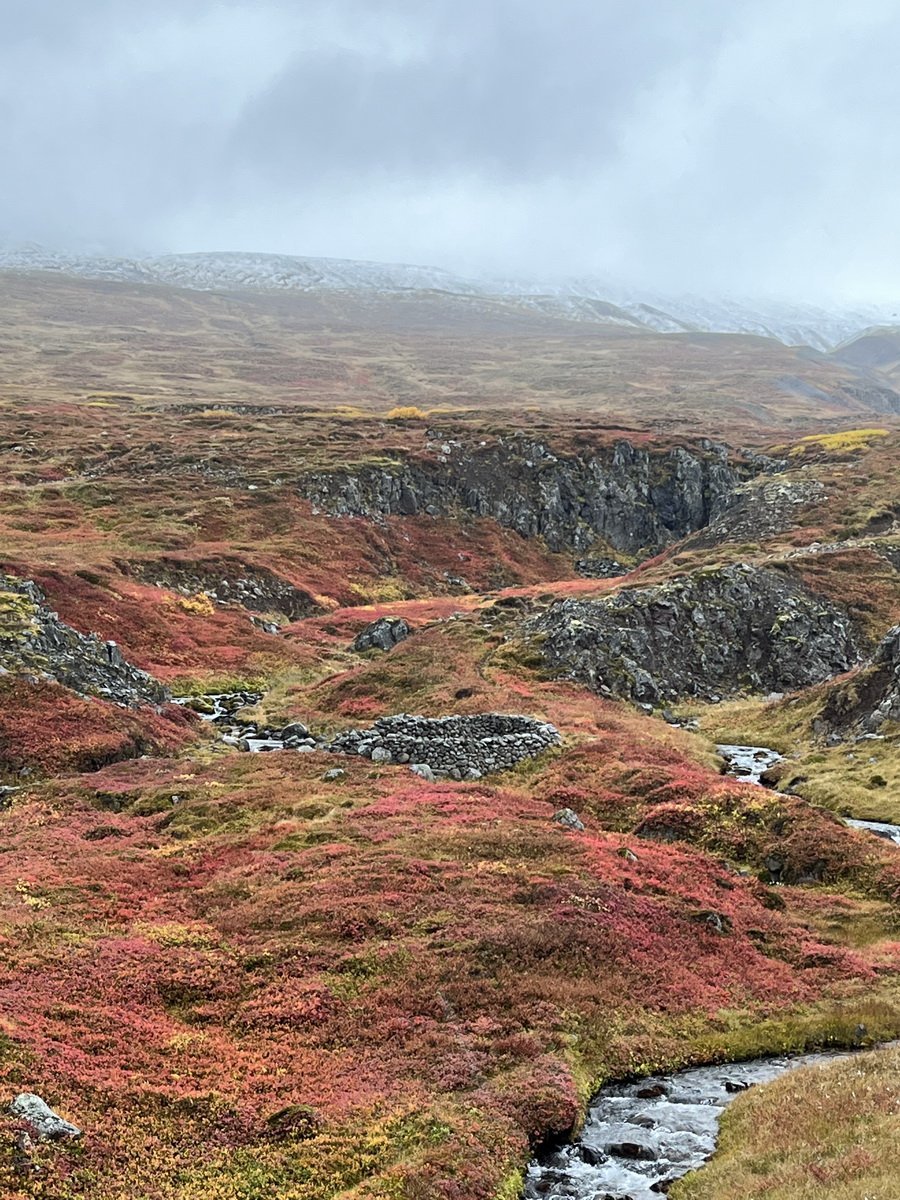 Næsta ferð 28. september: Krossastaðagil á Þelamörk; haustlitaferð