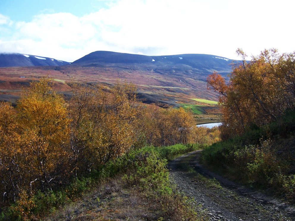 Næsta ferð 27. september: Skuggabjargaskógur í Fnjóskadal - haustlitaferð