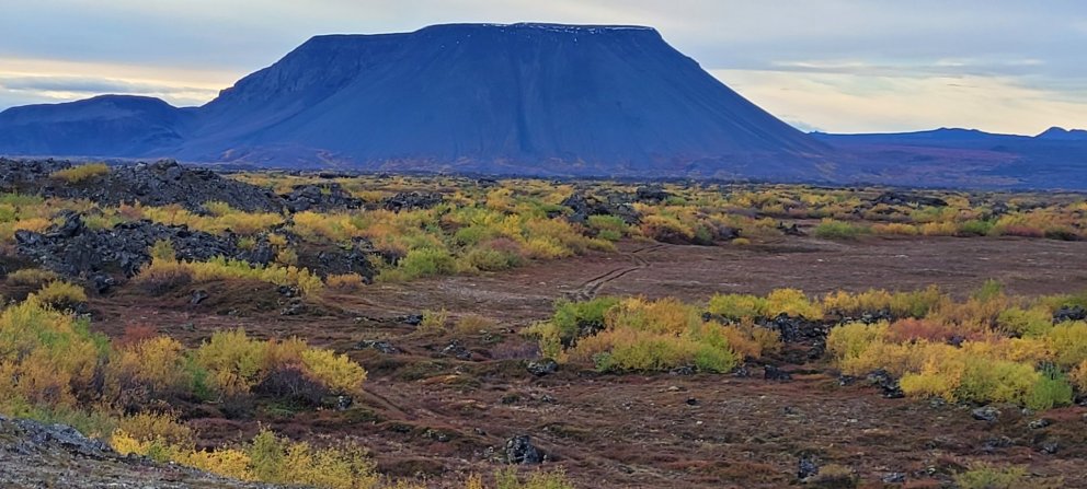 Næsta ferð 24. maí: Búrfellshraun og nágrenni