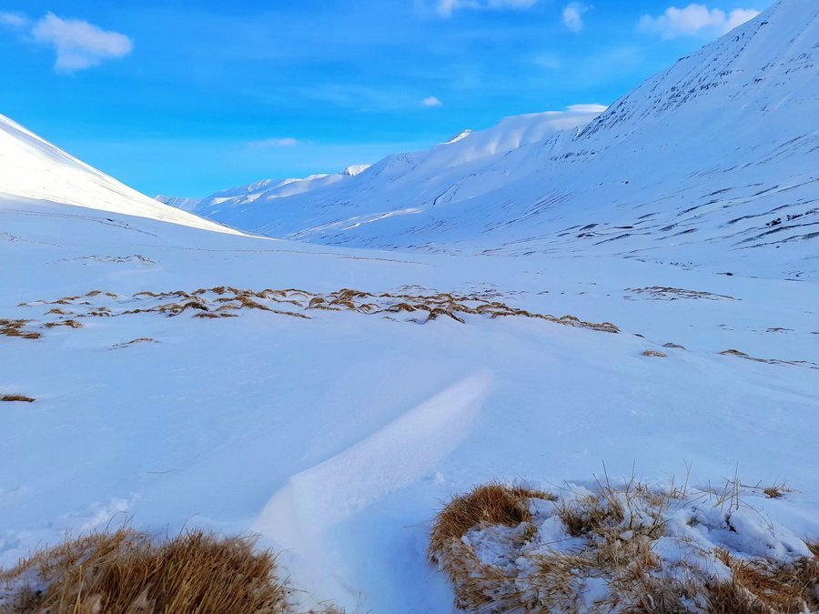 Kynning á skíðagönguferðum FFA 2023