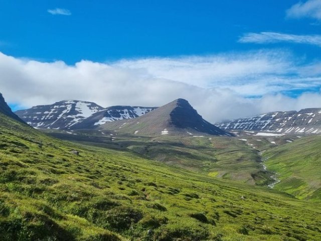 Næsta ferð 24. ágúst: Dýjafjallshnjúkur