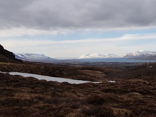 Næsta barna- og fjölskylduferð 19. ágúst: Berjaferð