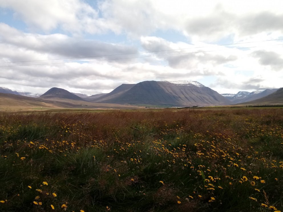 Næsta ferð 11. júní: Elliði í Hjaltadal í Skagafirði