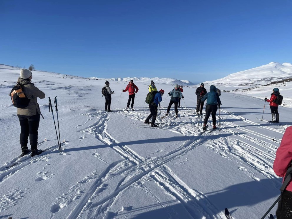 Fréttabréf FFA desember 2024