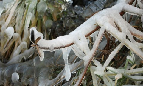 Næsta ferð 1. janúar: Út í óvissuna á nýársdag