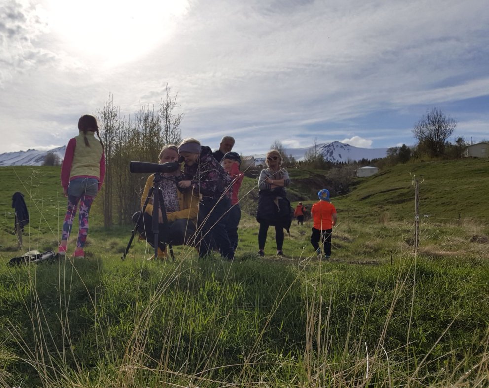 Næsta ferð 21. maí: Barna- og fjölskylduferð, fuglaskoðun