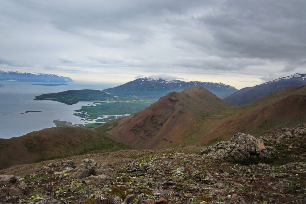 „Komdu út“ í íslenska sumarið