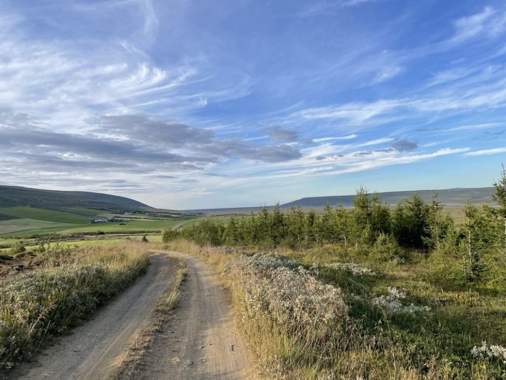 Opið hús FFA 3. október 2024