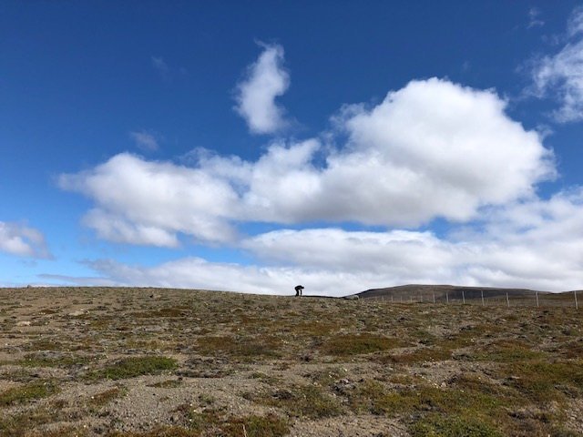 Næsta ferð 23. júlí: Laxárdalur í Austur-Húnavatnssýslu