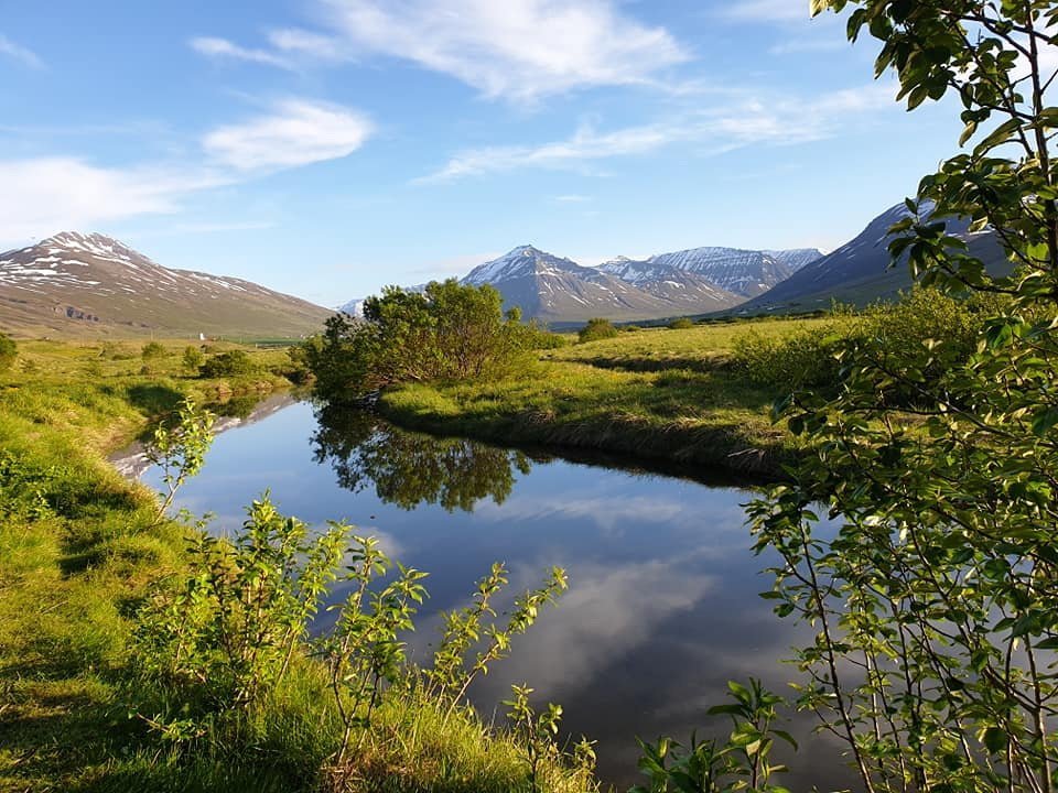 Náttúruhlaup með FFA haustið 2023