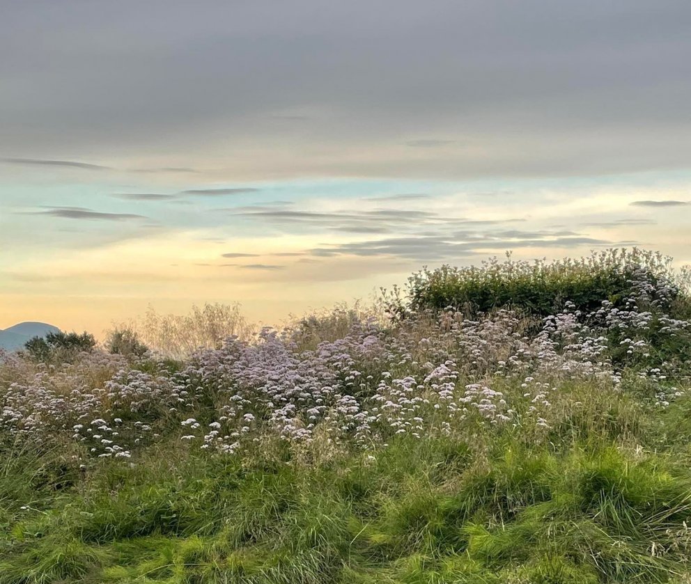 Söguganga - raðganga