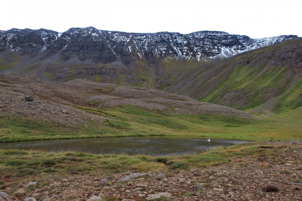 Næsta barna- og fjölskylduferð 2. júlí: Nýphólstjörn - veiðiferð