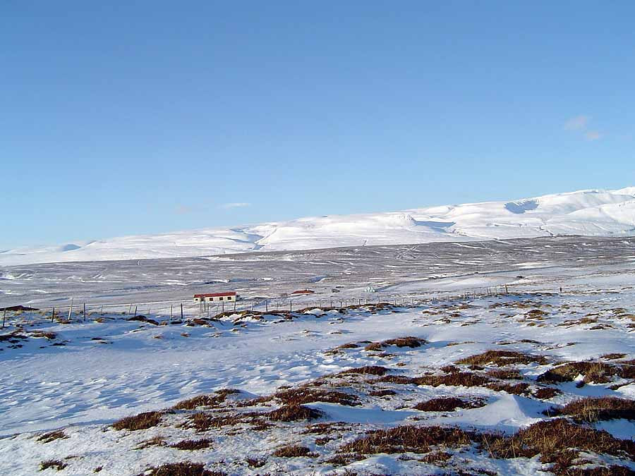 Minnum á næstu ferð: Reykjaheiði. 850 m