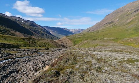 Viðbótarferð 10. júlí: Seldalur við Öxnadal