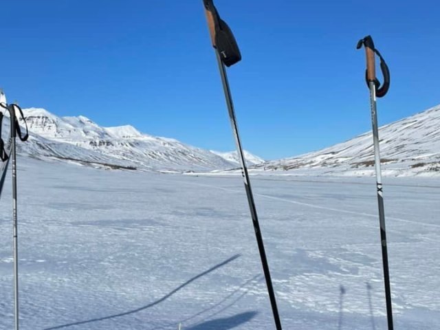 Næsta ferð: Skíðadalur 15. mars 2025