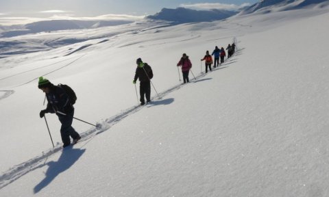 Næsta ferð 20. febrúar: Skíðastaðir-Þelamörk