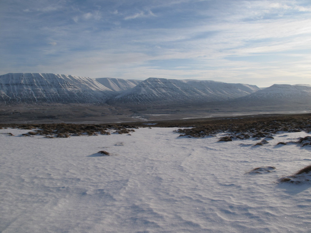 Gönguvika 2: Sölvadalur. 26. júlí