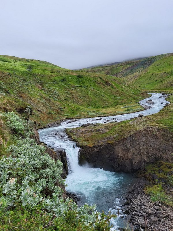 Þaulinn 2024 - gönguleikur