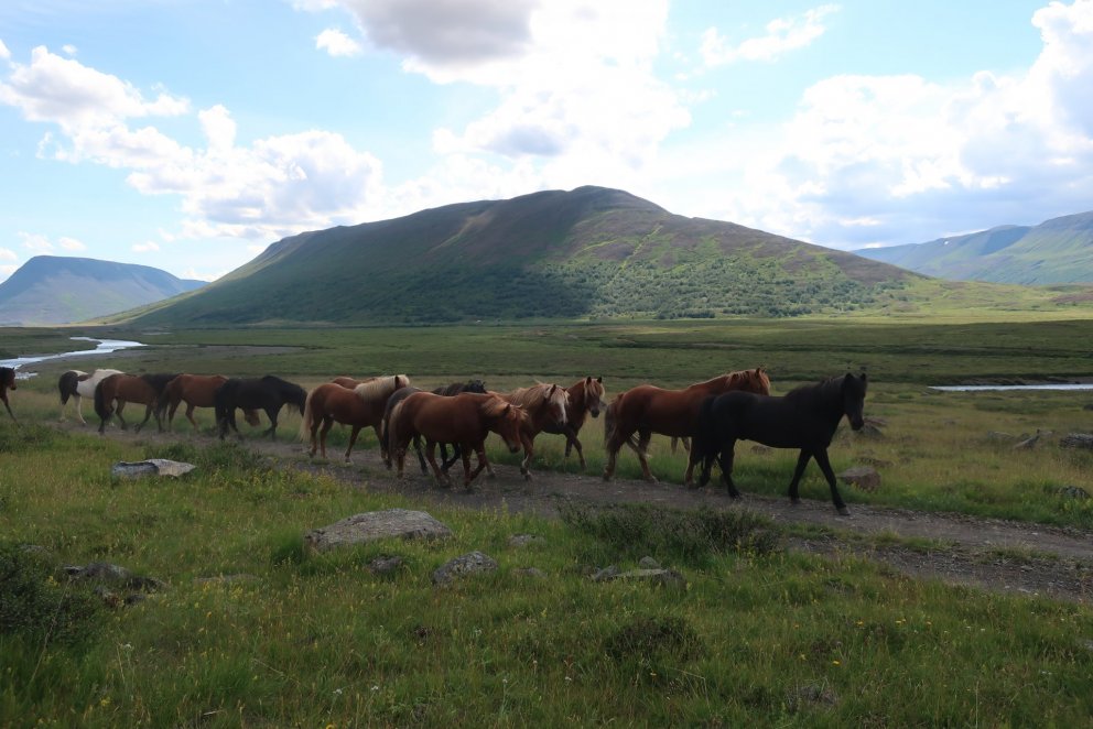 Fyrsta rafhjólaferðin 17. júlí: Timburvalladalur-Hjaltadalur