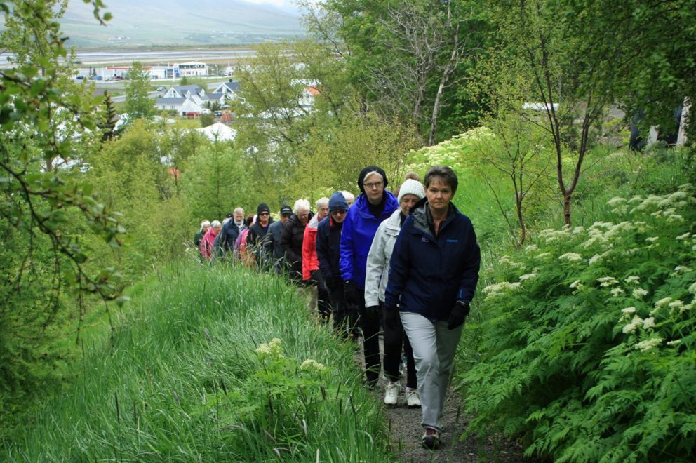 Á leið upp skjólgóðan stíg úr Aðalstræti á Spítalaveg í Innbænum á Akureyri.