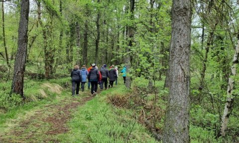 Tökum skrefið - vikulegar göngur hjá FFA