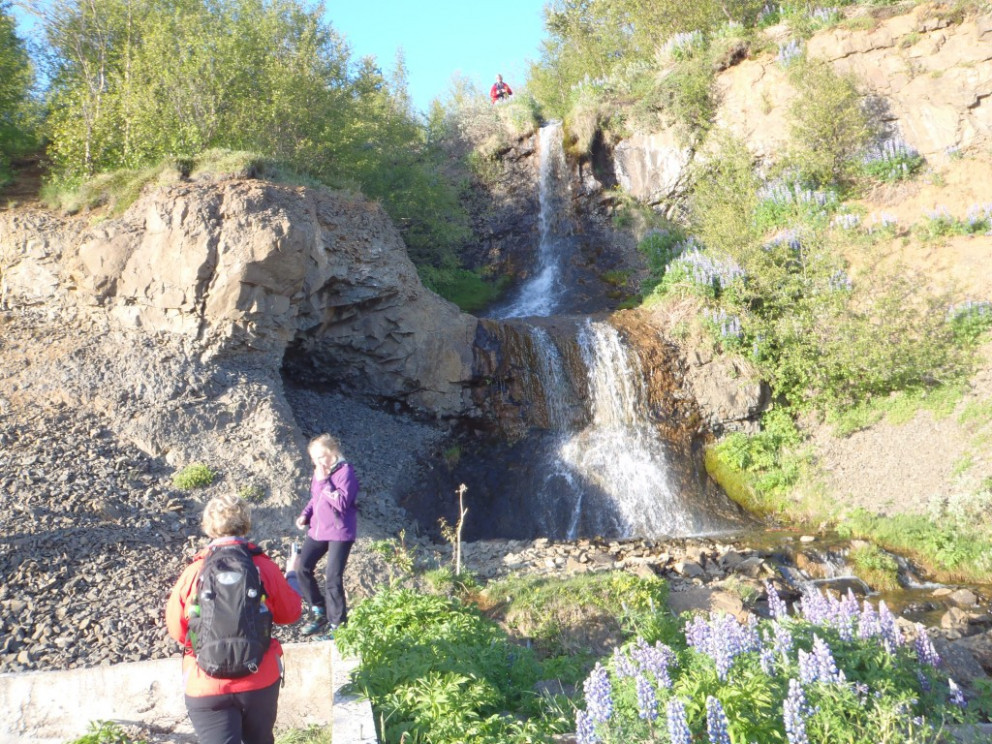 Gönguvika 2: Vaðlareitur. 24. júlí