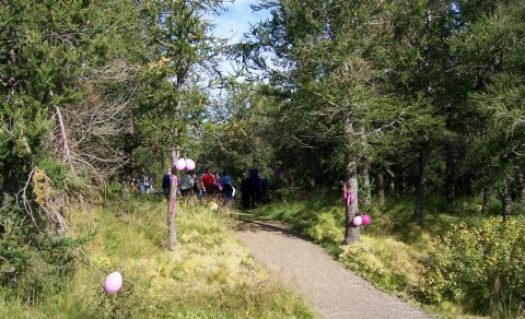 Börn og fjölskyldur í Kjarnaskógi - grillum og leikum saman
