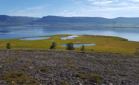 Gönguvika FFA 18.-22. júní