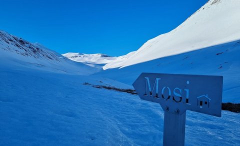 Næsta ferð 13. apríl: Mosi í Böggvisstaðadal