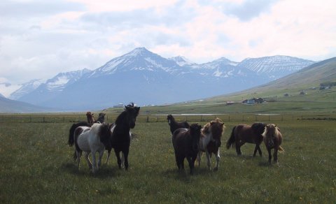 Næsta ferð 23. maí: Hjóla- og gönguferð