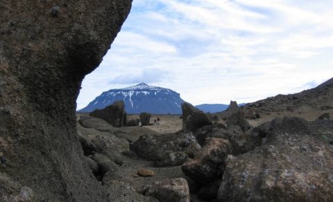 Fréttir af aðalfundi FFA 19. mars 2019