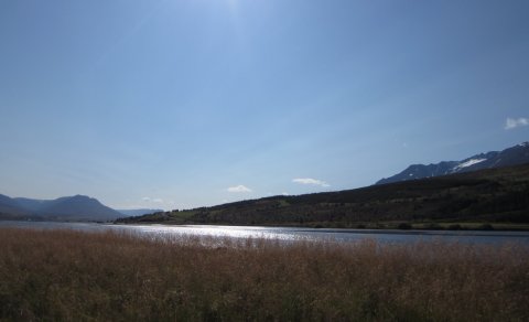 Þaulinn - leiknum fer senn að ljúka